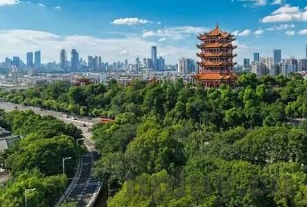 国产剧情av麻豆-揭露国产剧情短片的真实面貌，麻豆们的奋斗与挑战